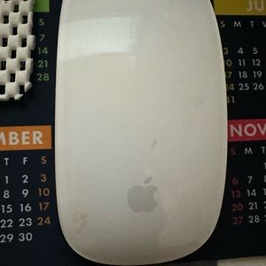 Genuine apple mouse that works great. Chargeable.